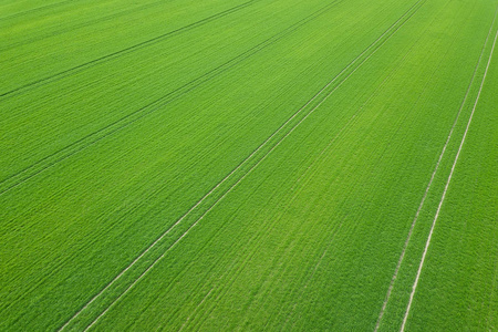 ����ָ����2025�궬С���ᵥ����ѧʩ��ָ�����