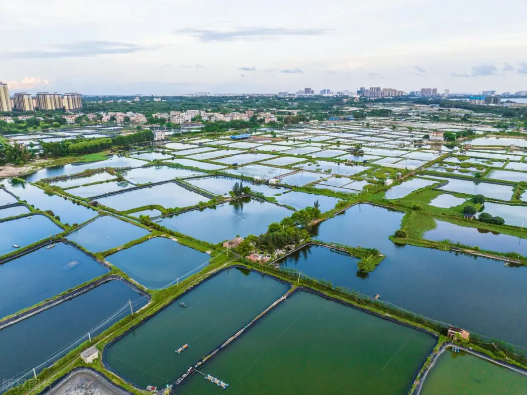 �л����񹲺͹���ҵ����ȫ�ģ�