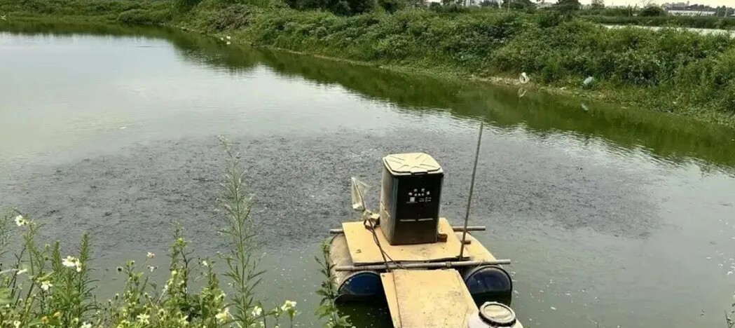 �����׶�Ϻ��ֳ������Щ����֪����