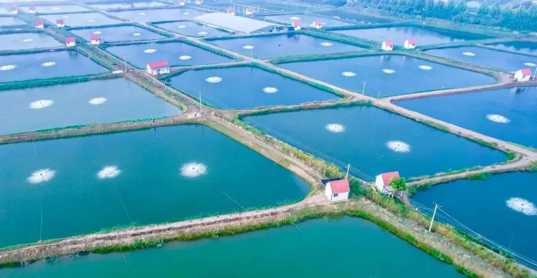 ��α��ˮ�����ϵ�����