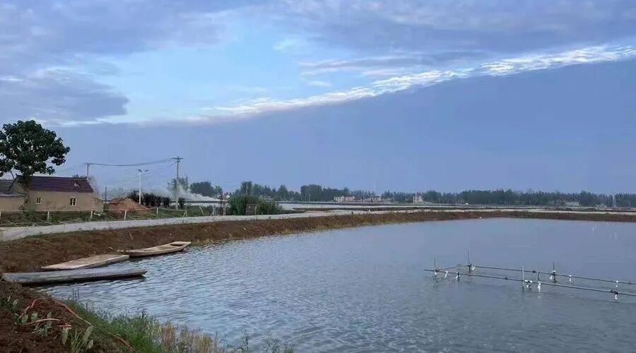 �в�ҩ��ˮ����ֳ�е�Ӧ��