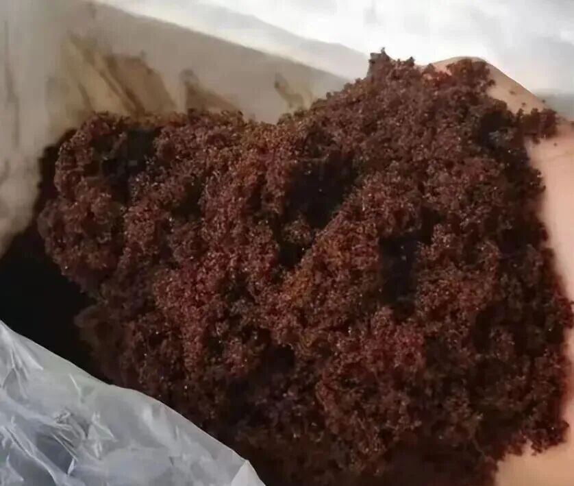 ������ˮ����ֳ�е�����