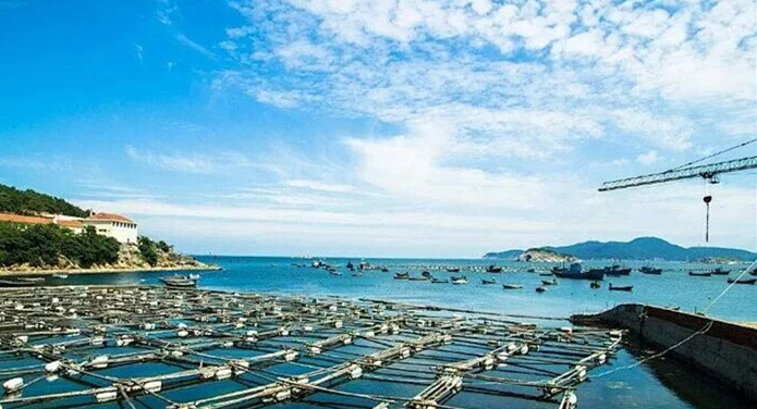 ���¶��� Ϻз��ֳ�ܺ�Ӱ�죿����Ӧ�Դ�ʩ����Щ��