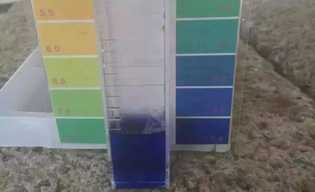 Ϊʲô�ҳ�����ˮPH���ߺ��ͣ�