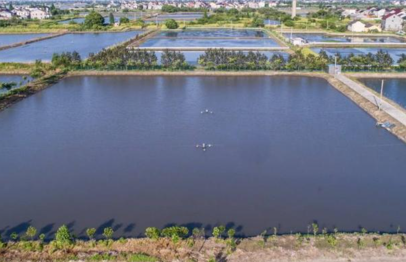 �ж�ˮ�������Ƿ���ߵķ���