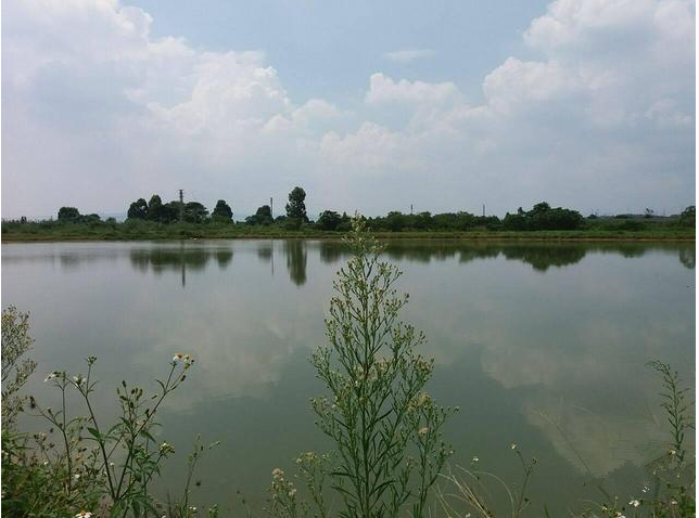 ˮ����ֳ������õ��������